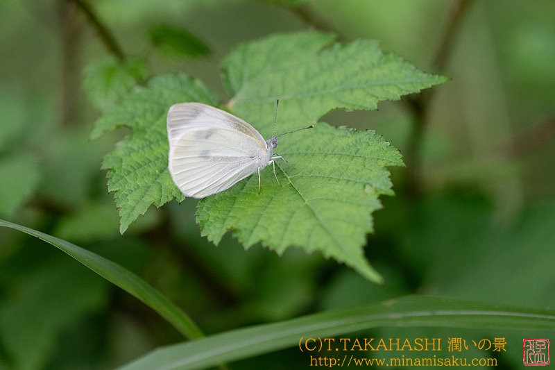 ../Images/7R240922 (203).jpg